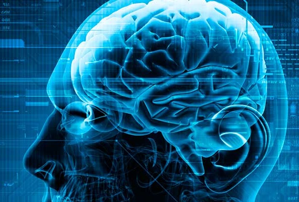 Felfedezték az összefüggést az Alzheimer-kór és az agyi immunsejtek között