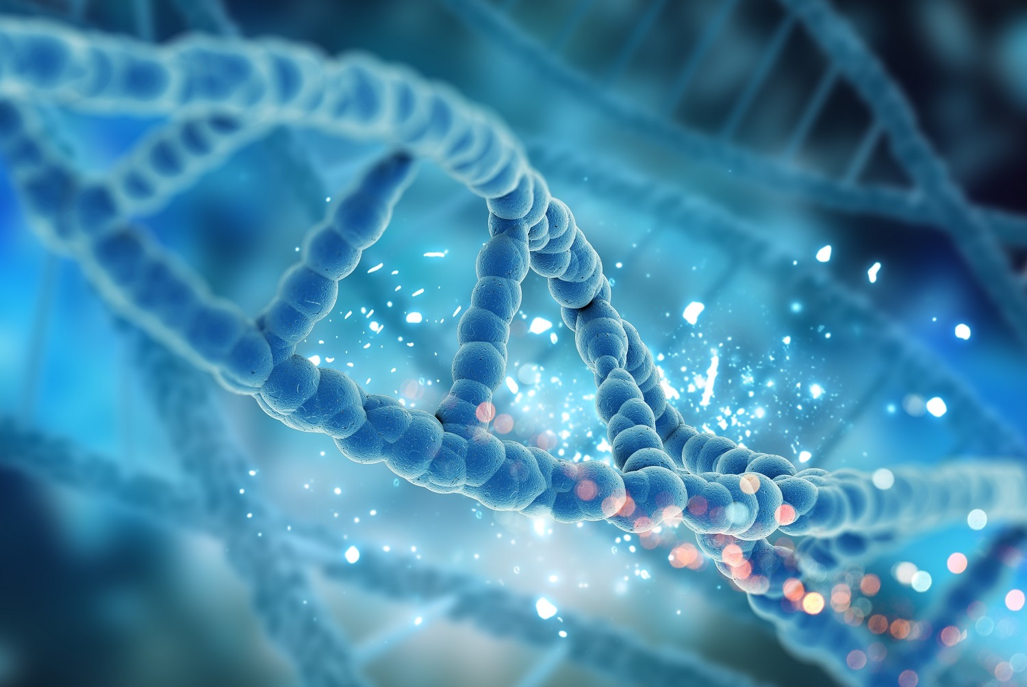 dna