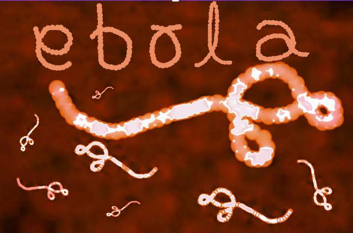 ebola