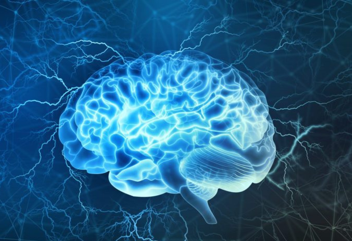 brain